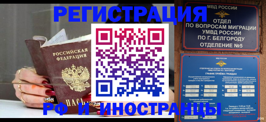 прописка в Шумихе